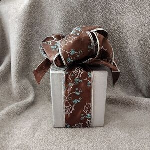 NWOT, Holiday Accent, Package